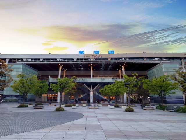 ロピアマルダイ新潟店の最寄り駅である新潟駅の外観写真